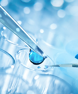 Picture by Kyle Cottrell